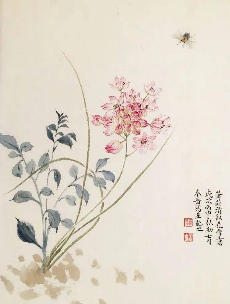 宋秦晋的没骨画花卉99幅清雅恬静如梦境般虚幻