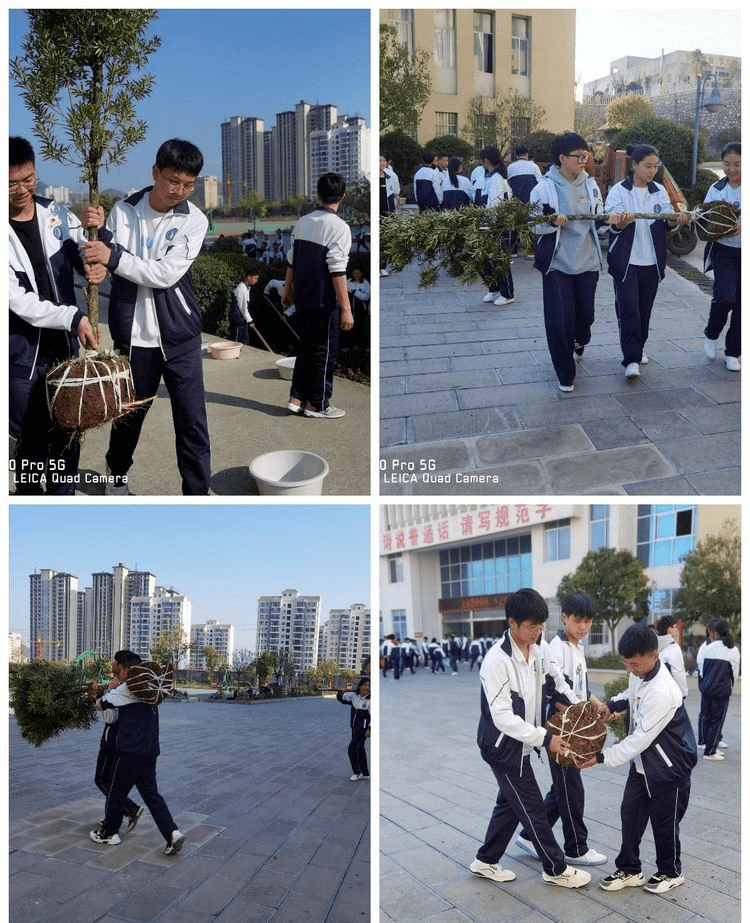 02安龙县普坪镇戈塘中学——种一棵小树,绿一方净土03洒雨镇初级中学