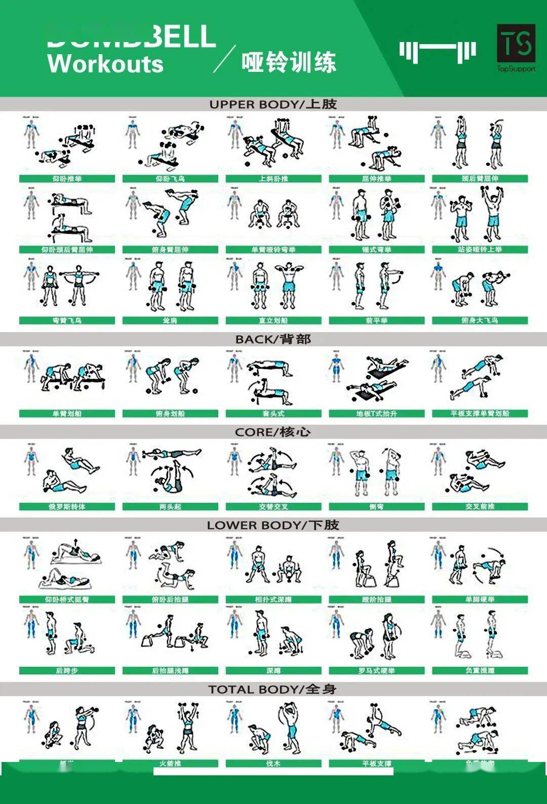 體能訓練動作庫圖解大全