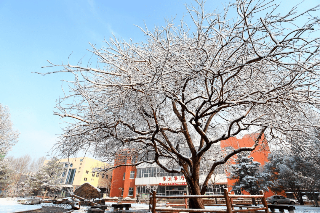 北京农业职业学院清河校区(机电工程学院)北京市昌平区回龙观二拨子2