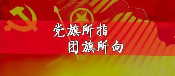 战疫司法人党旗所指团旗所向一抗疫战场上的青年公证人