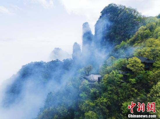 春光|湖北五峰现“半峡谷半云海”美景