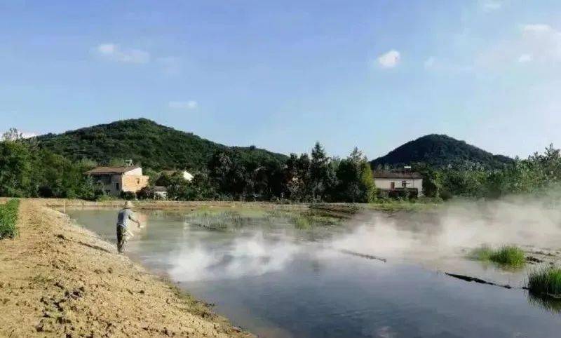 为什么大部分养殖户喜欢用生石灰消毒调水里面学问很大