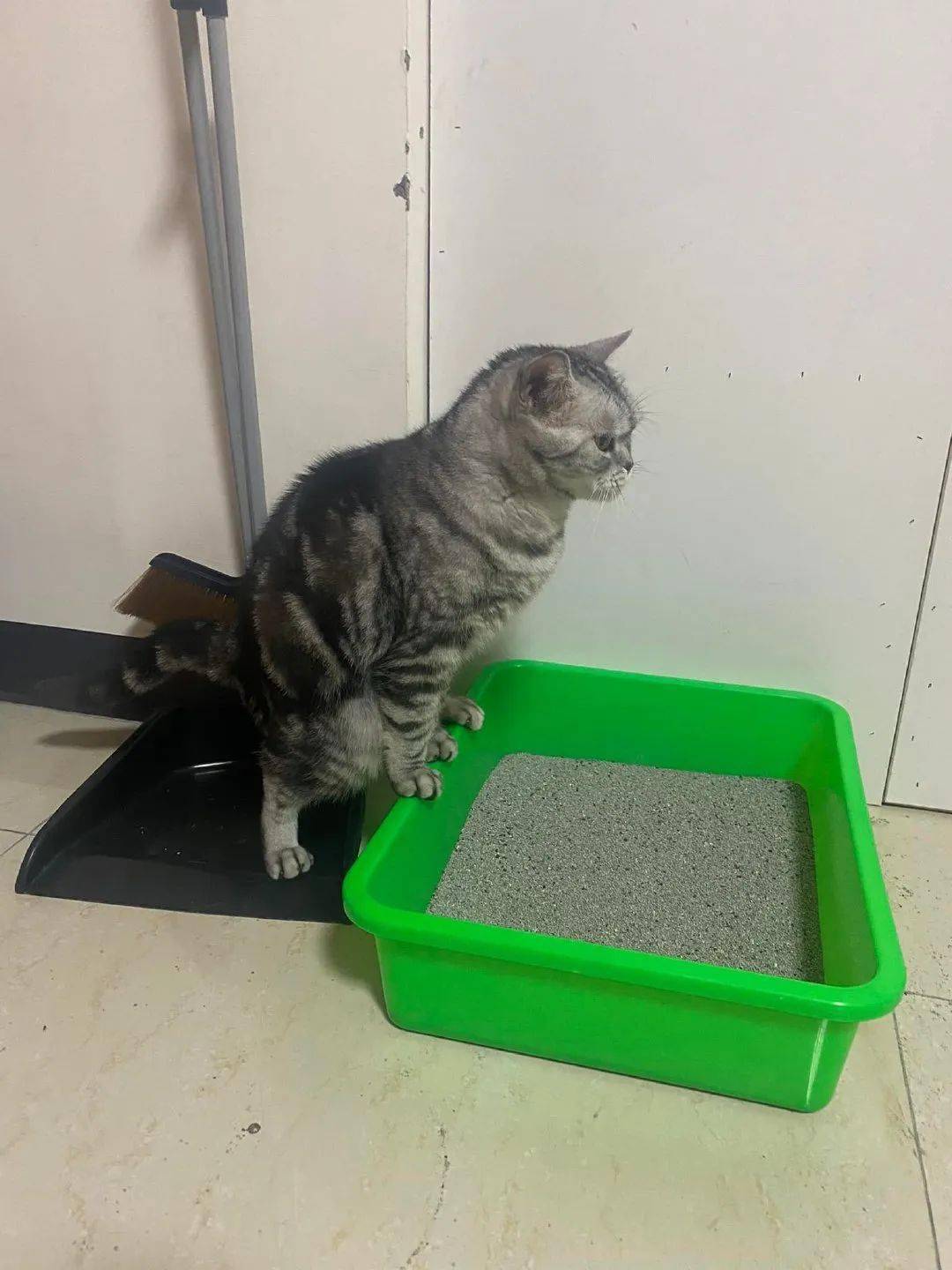 在家乱拉屎…"_by_裤子_男人