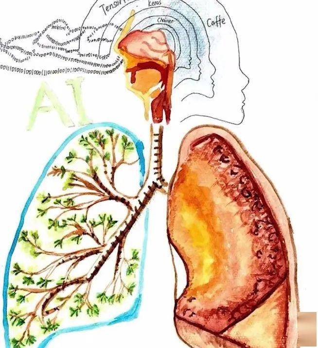 王者灵魂画手！医学生手绘人体解剖图，火爆全网：又美又惊悚