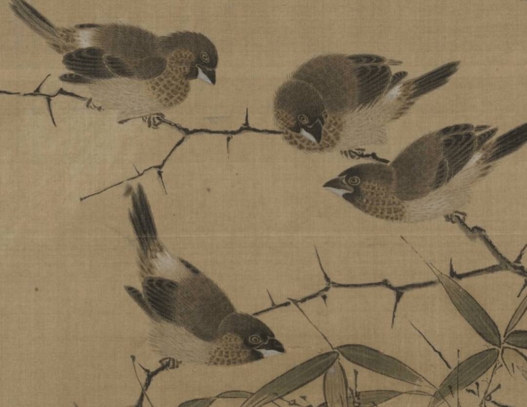 这30只小鸟美了一千年