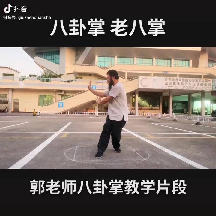 郭老師八卦掌教學片段武術