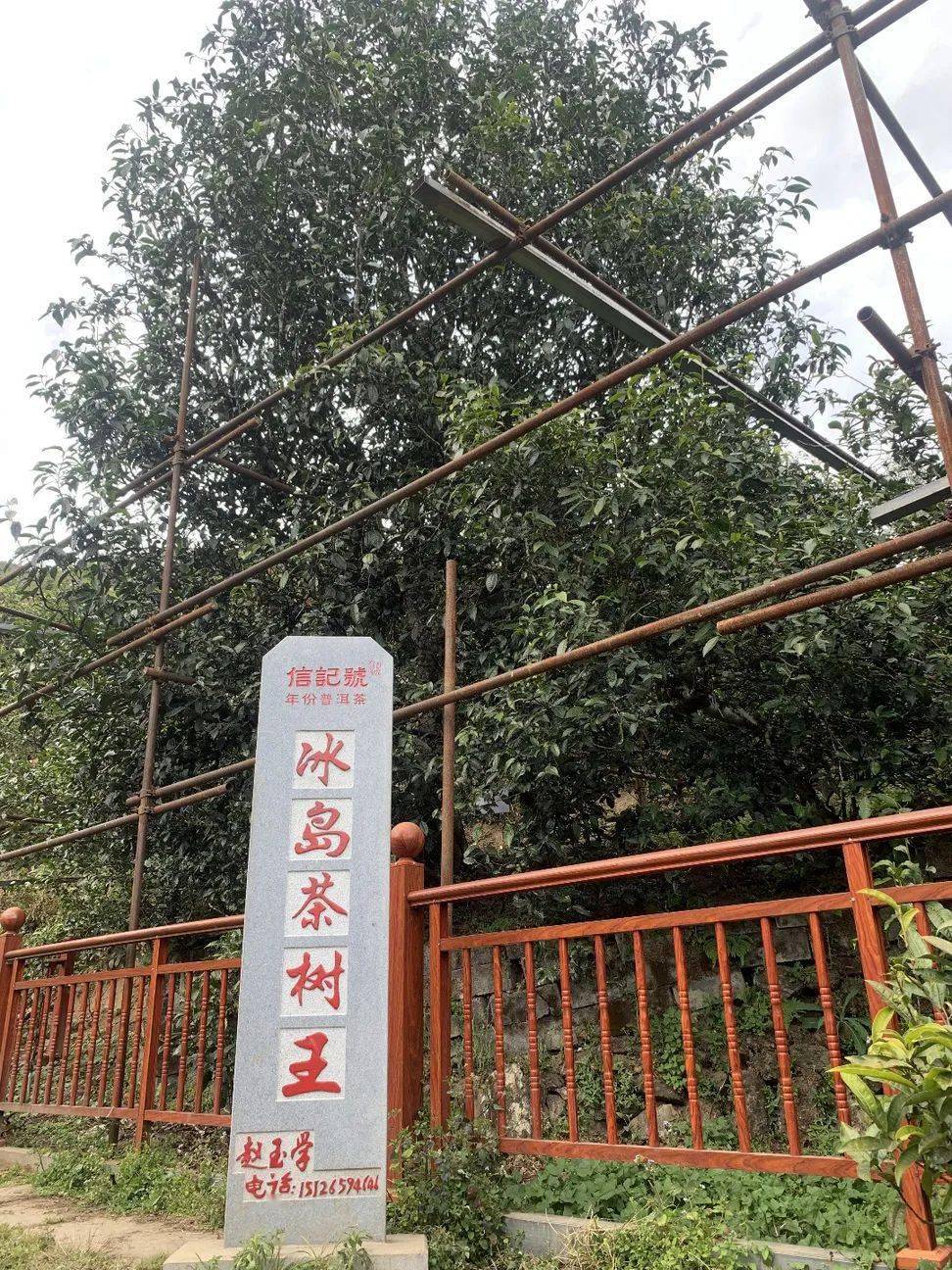 天下茶尊61滇红飘香临沧奢华6日自驾游