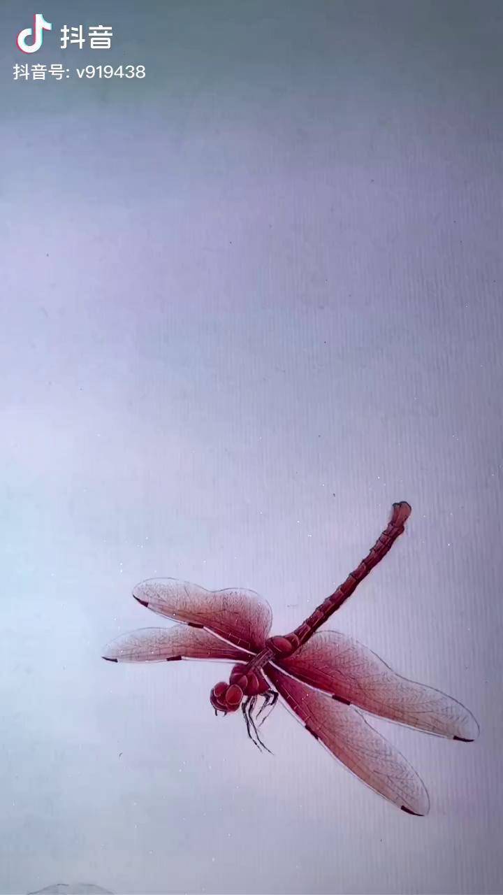 国画传统文化想画就画定制款收官荷花红蜻蜓