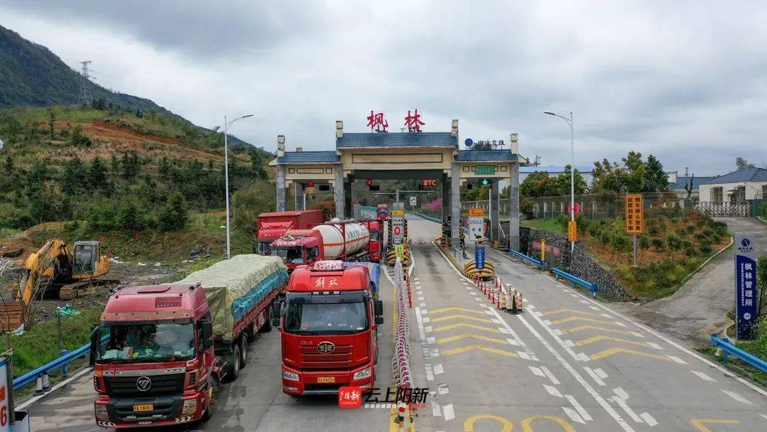 枫林街道 核酸图片