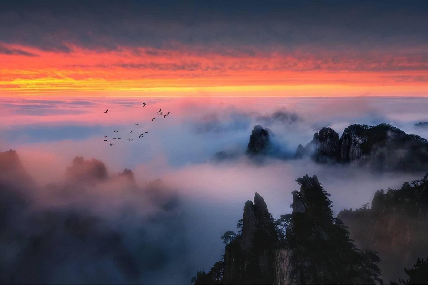 黄山红日云海人生若只如初见置身其中感受天上人间