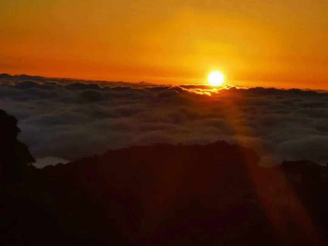 本人有效证件|龙头山景区3月25日恢复开园！免门票活动来袭！