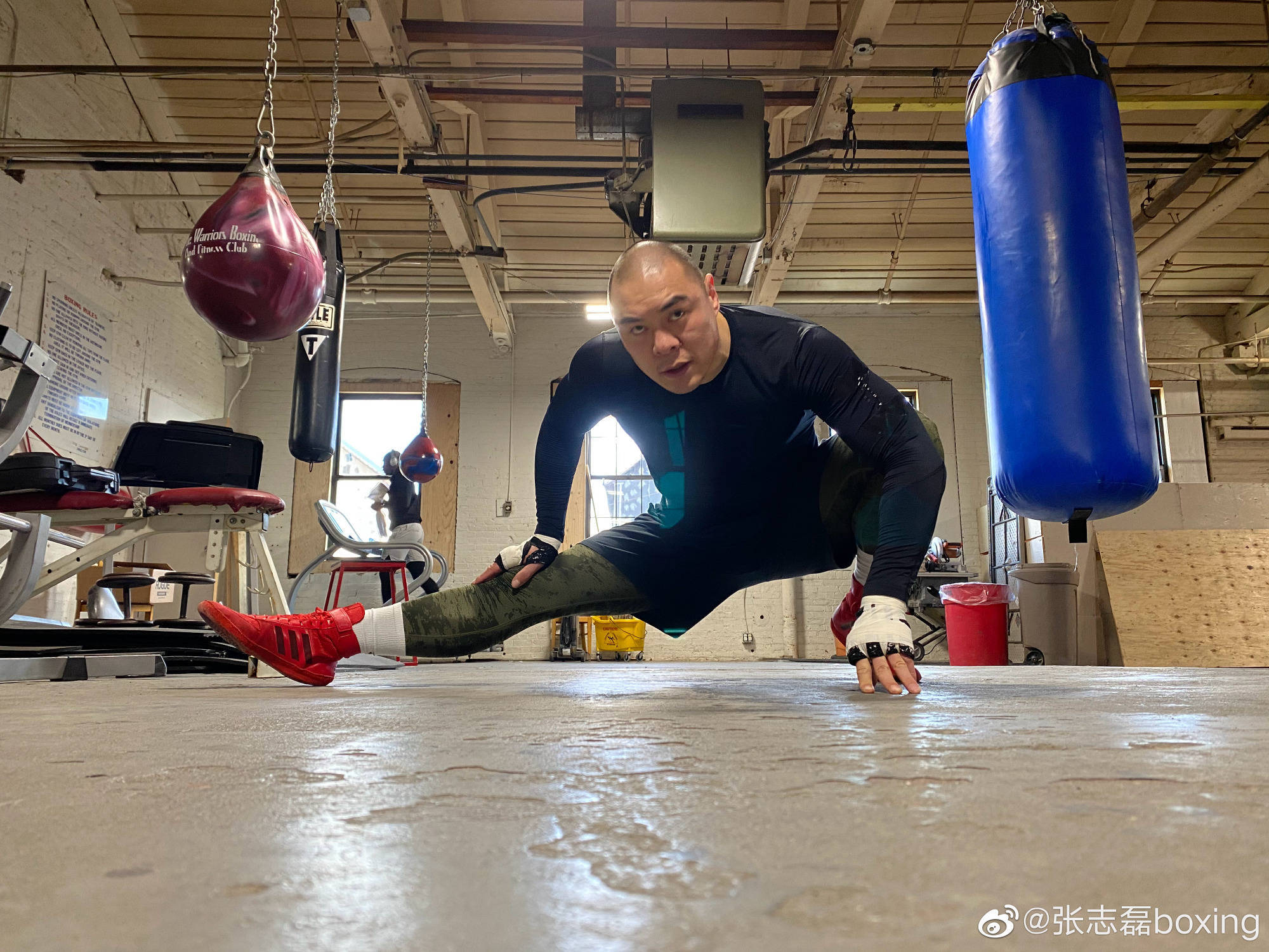 选手|39岁张志磊5月美国比赛，赢了就能挑战世界重量级拳王