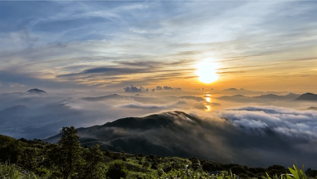 揭西大洋: "一山千行绿,阡陌茶飘香"_茶叶_揭阳市_游客