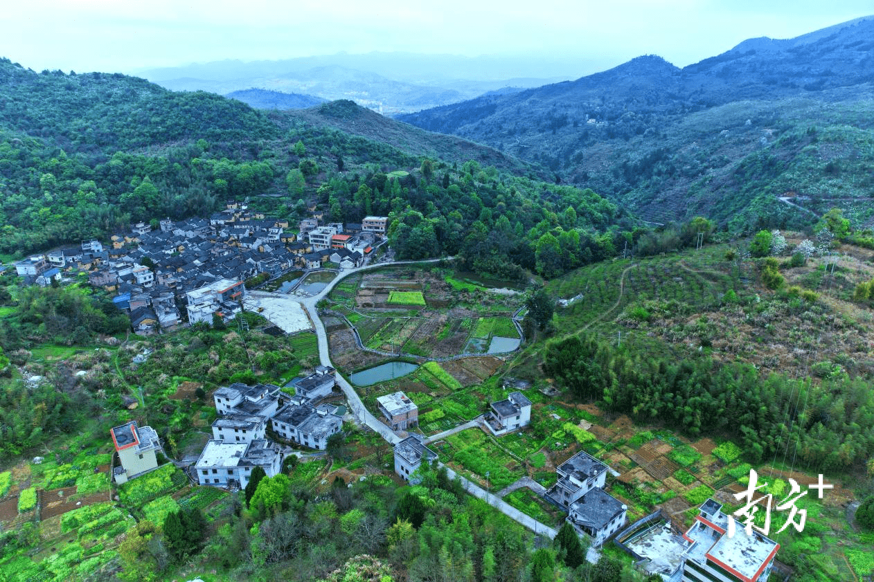 韶关乐昌庆云镇乡村春日美如画