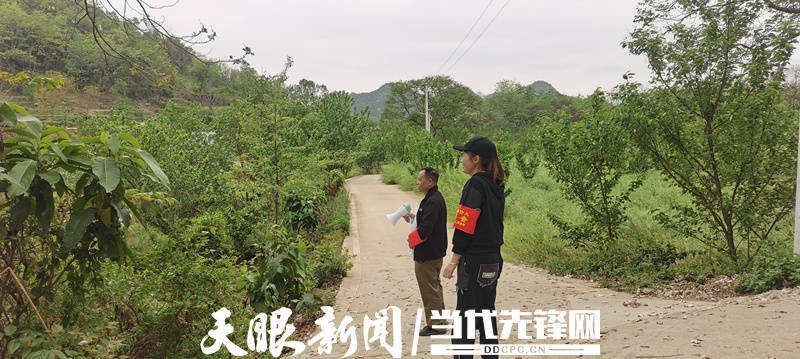 镇宁马厂镇:抓好巡林工作 守护绿水青山_防火_森林_灭火
