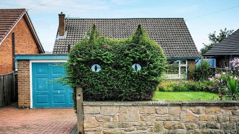 修剪_植物_造型