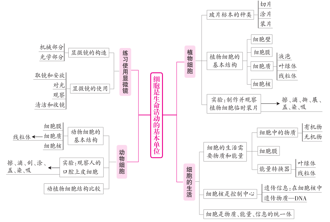 初中生物超全整理各章節概念圖會學的同學都收藏啦可下載打印