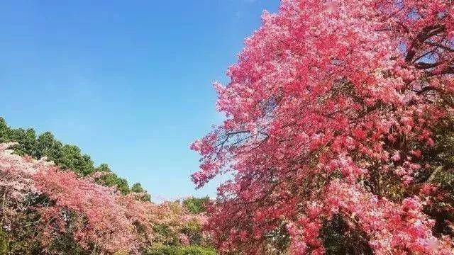 民办本科学费一年大概多少_学费民办本科贵吗_民办本科学费是固定的吧