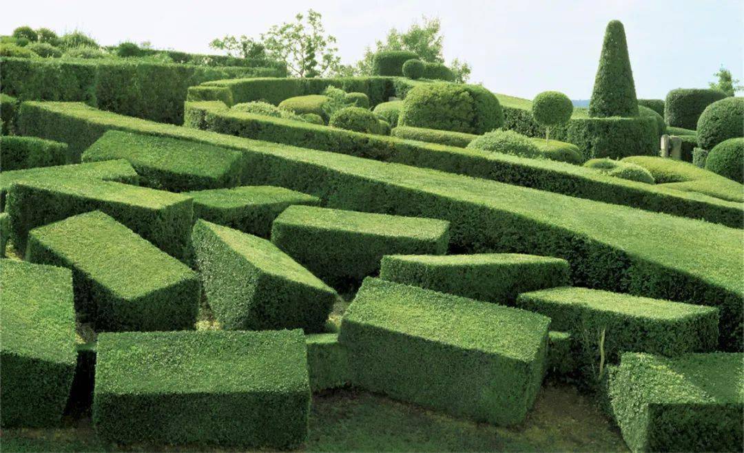 修剪_植物_造型