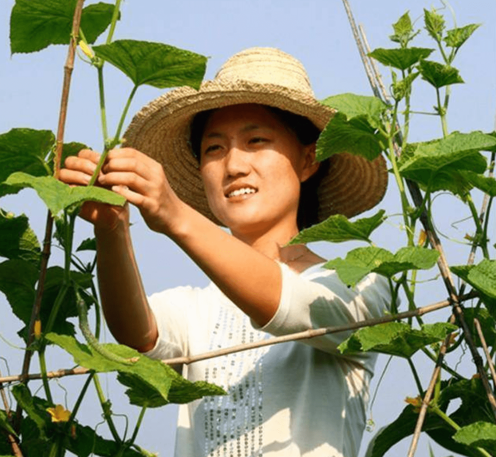 04为了高效处理会员订单信息,程存旺自主跨界学习,用一年的时间研发出