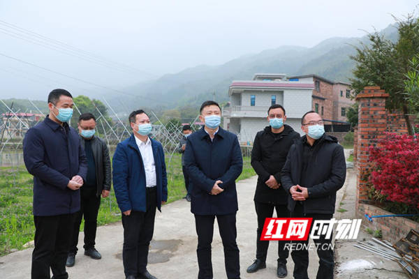 东安县委书记"农家夜谈"话振兴谋发展_中田_防控_唐何