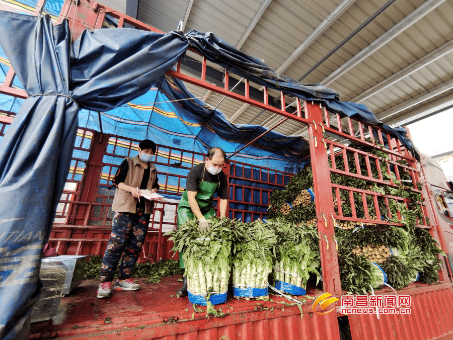 货足价稳南昌深农批百余种蔬菜不断档不断货