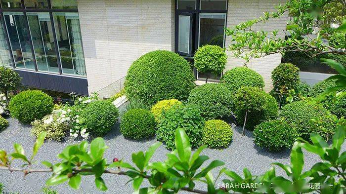 就种个"球"吧~》前几天咱芦苇景观刚好推送过一篇球形灌木的文章圆形