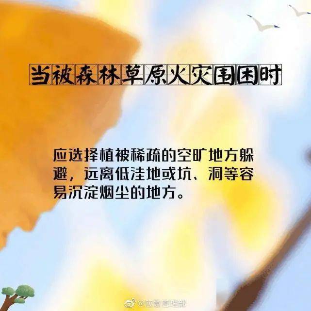 來源:應急管理部投稿郵箱:jrzx2699@sina.