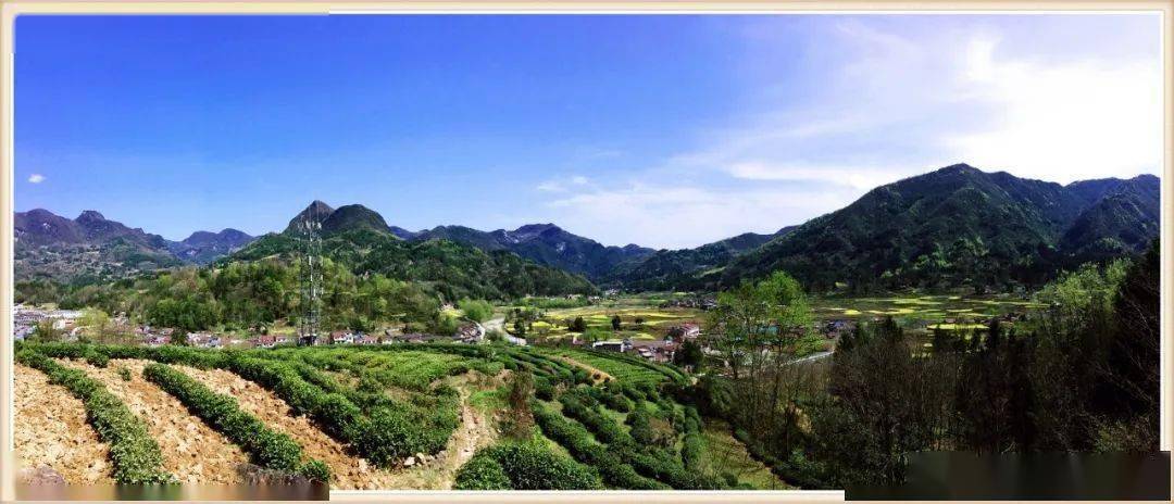 花开正好,汉中高川镇春意正盎然_高山碧_沐浴春_西乡县