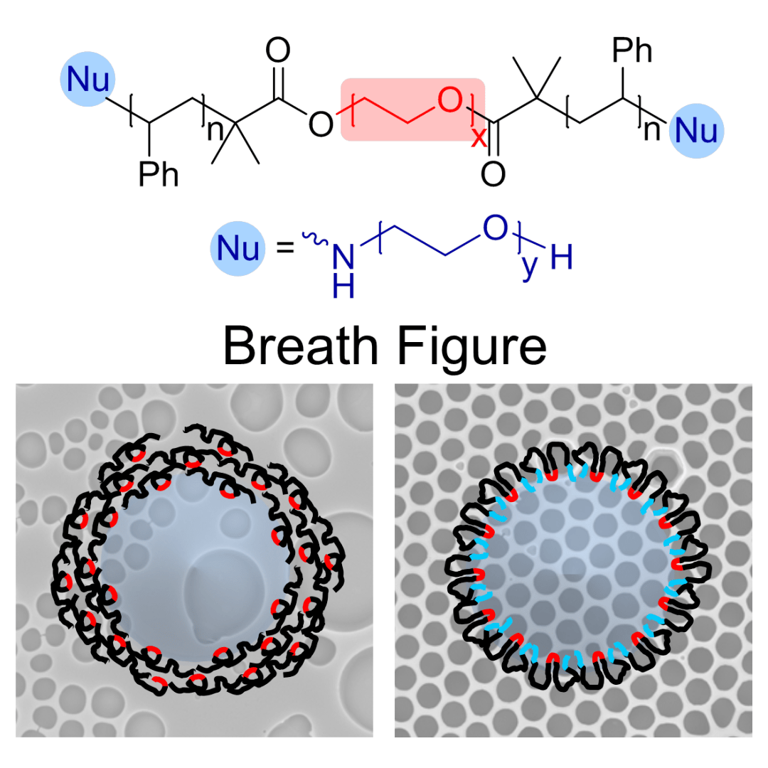 浙江大学高分子系万灵书团队jps聚苯乙烯极性基团对呼吸图自组装行为