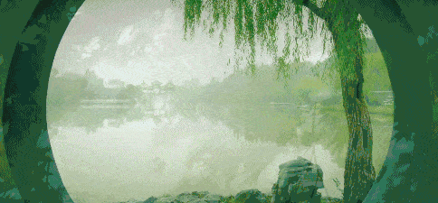 484_225gif 动态图 动图