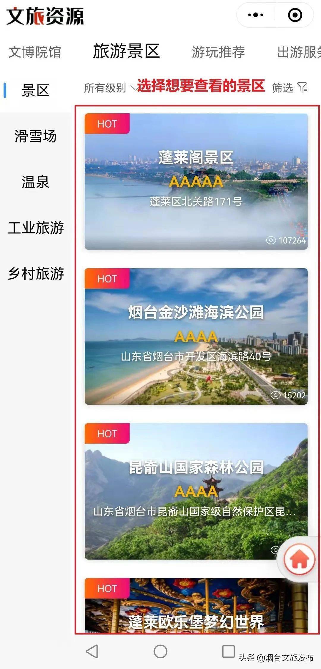 图标|宅家新玩法！VR导览、艺术欣赏、掌上图书馆……全免费！