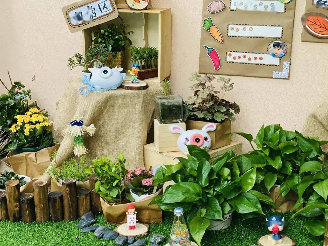 幼儿园春季植物角环创