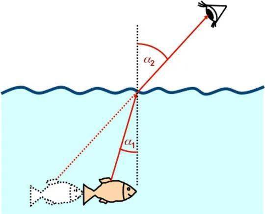 相对论诞生：爱因斯坦是如何创立狭义相对论的？| 深度