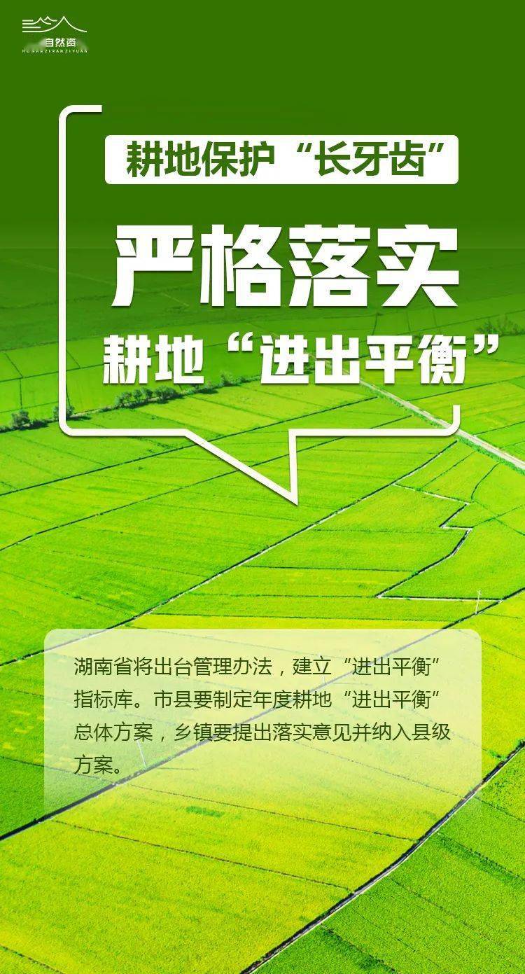 耕地保护长牙齿三类情形将被督导问责