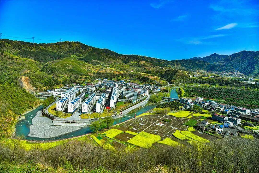 平利这个田园风光如诗画_大贵镇_茶园_安康