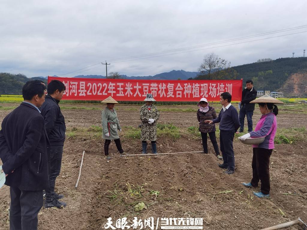 科技|剑河南明：“田间科技课堂”保粮安 现代化农业促增收