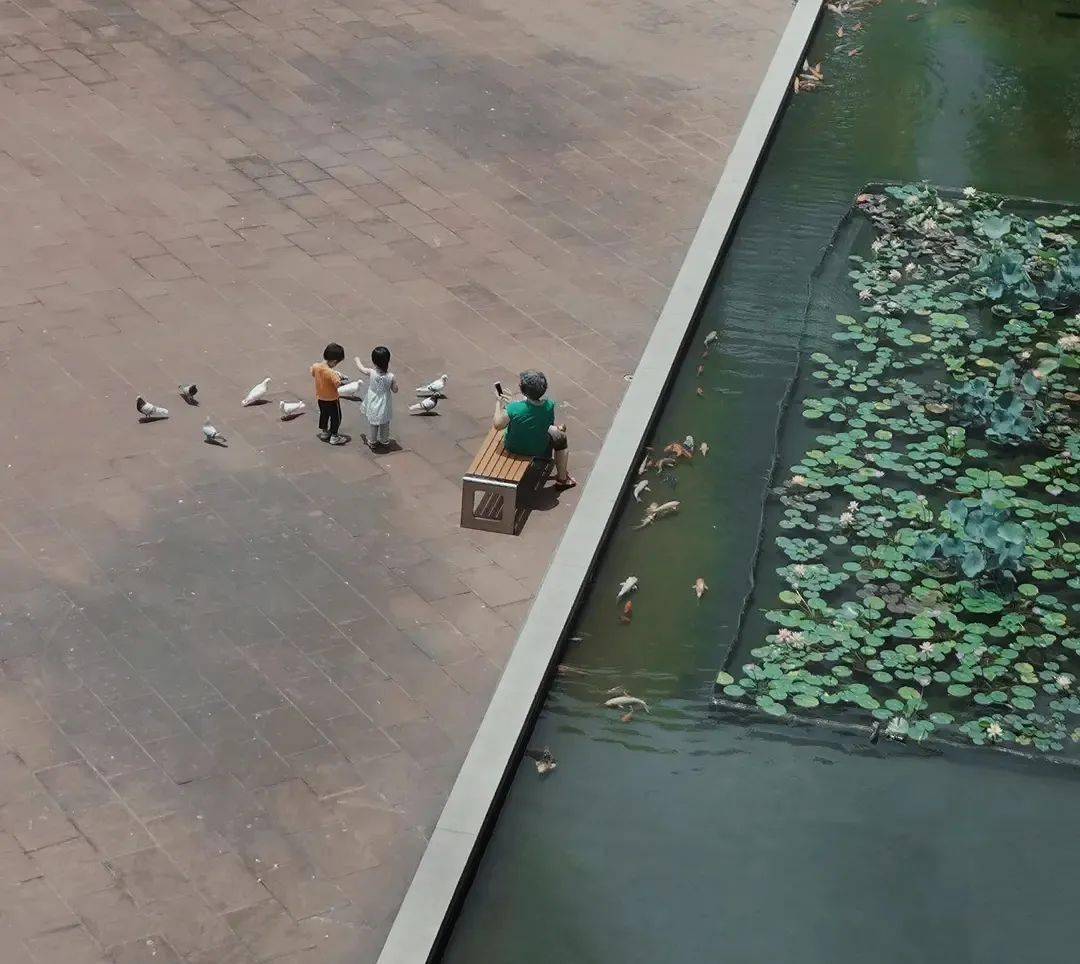 photo服气！豆瓣上的「民间摄影大神」太会拍了！