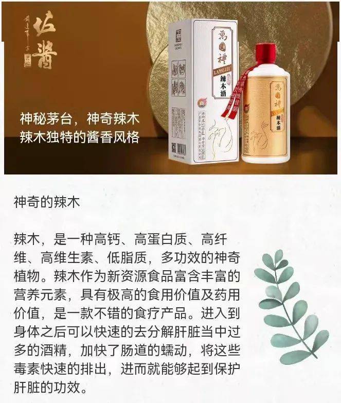 自营茅台酱香辣木酒万国礼辣木酒产自贵州茅台镇酱香辣木酒53度酱香型