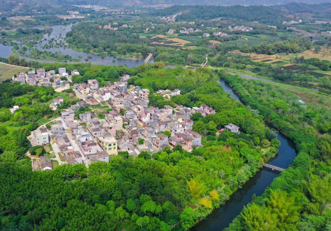 宣传村庄赢得奖金建好家园陂面镇开展乡村振兴自然村竞演