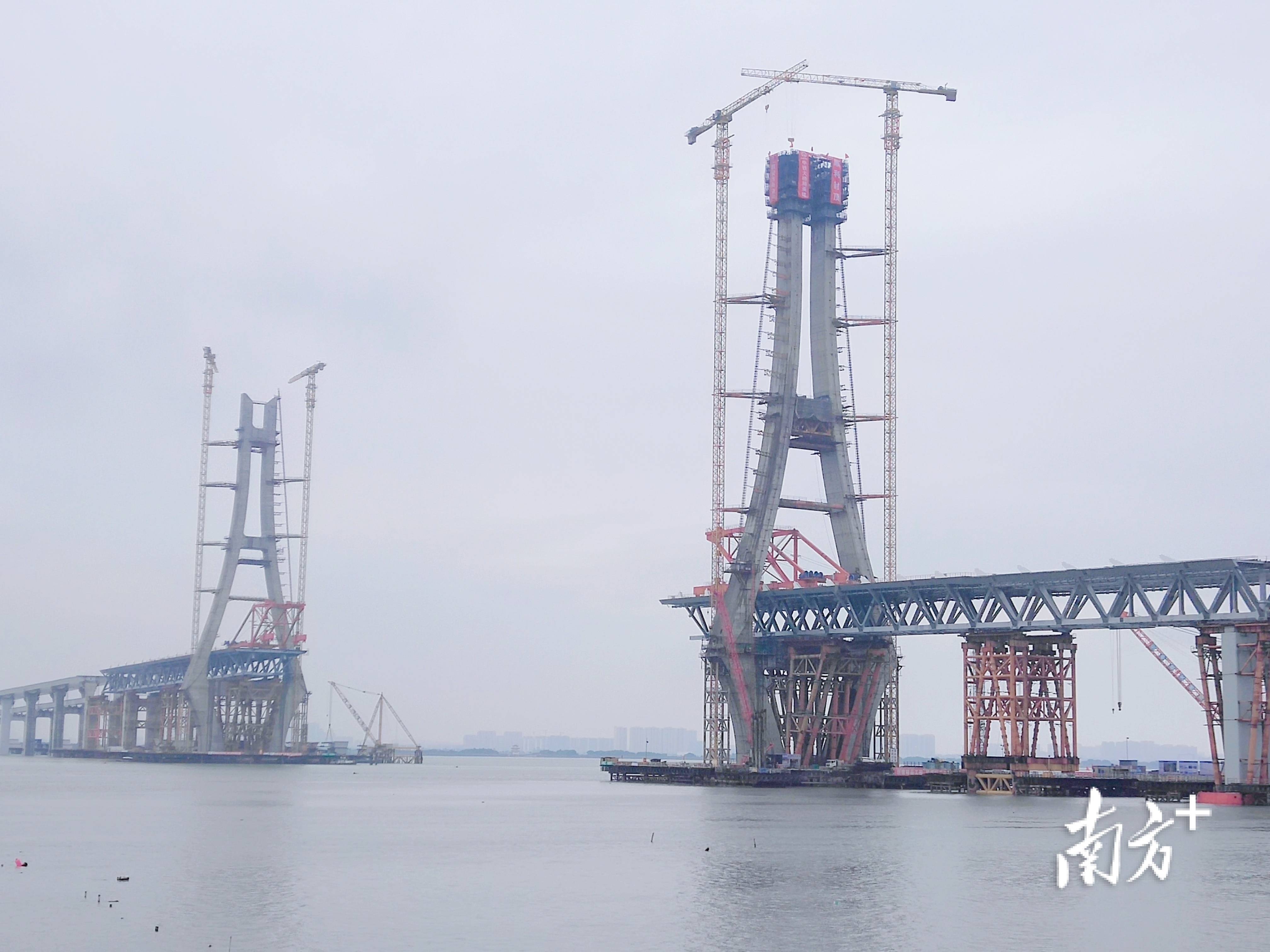 牛田洋特大桥南主塔顺利封顶,牛田洋快速通道预计明年贯通_施工_中铁