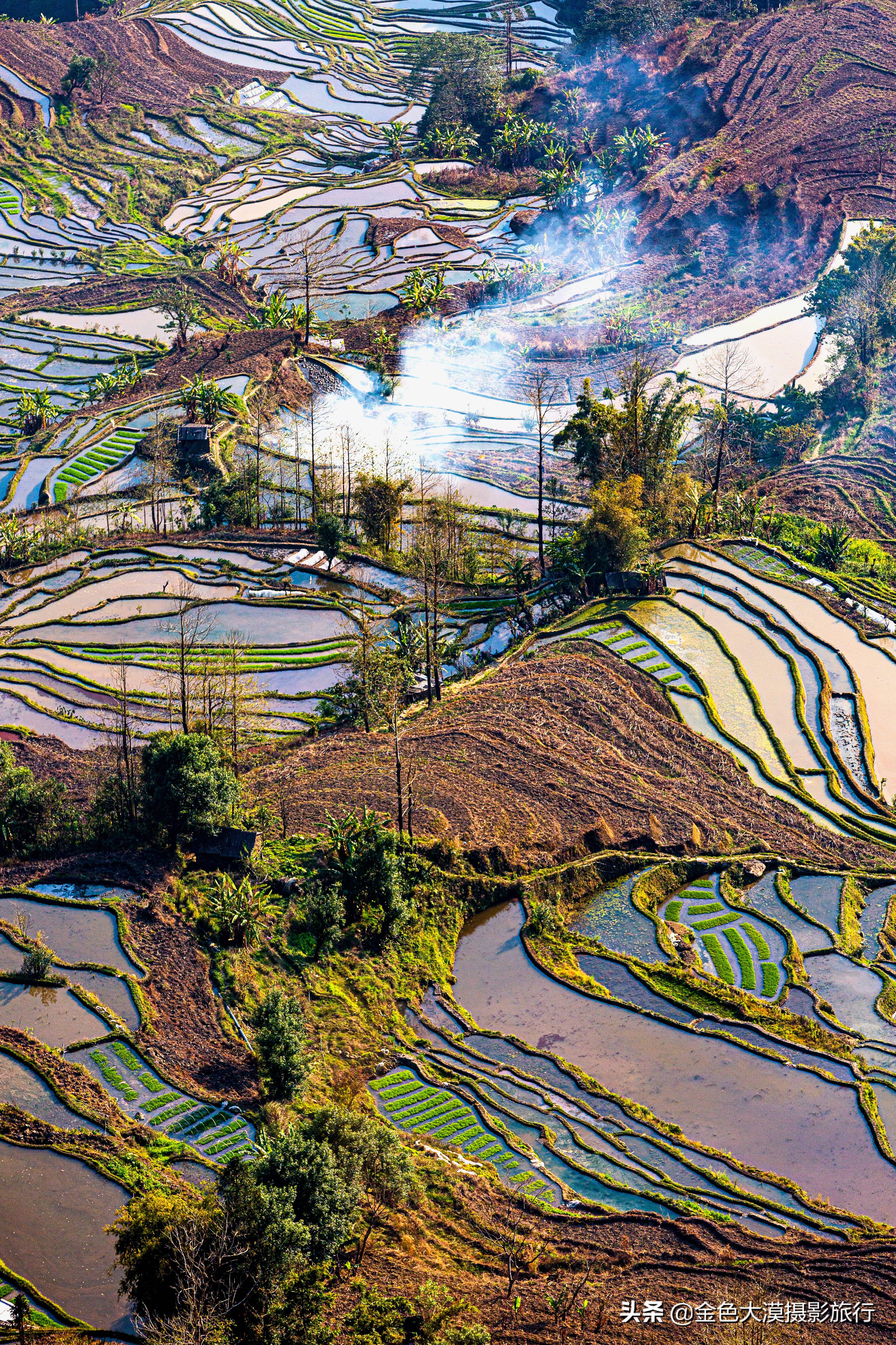 元阳梯田景区在哪里图片