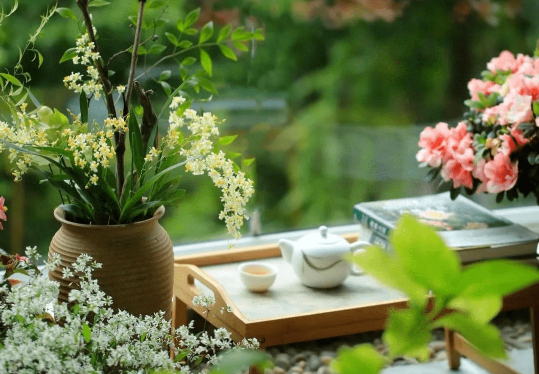 优雅是心有阳光,无惧岁月荒凉.