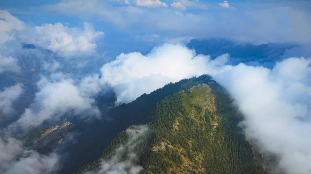 名片|贺兰山东麓葡萄酒——宁夏耀眼的紫色名片