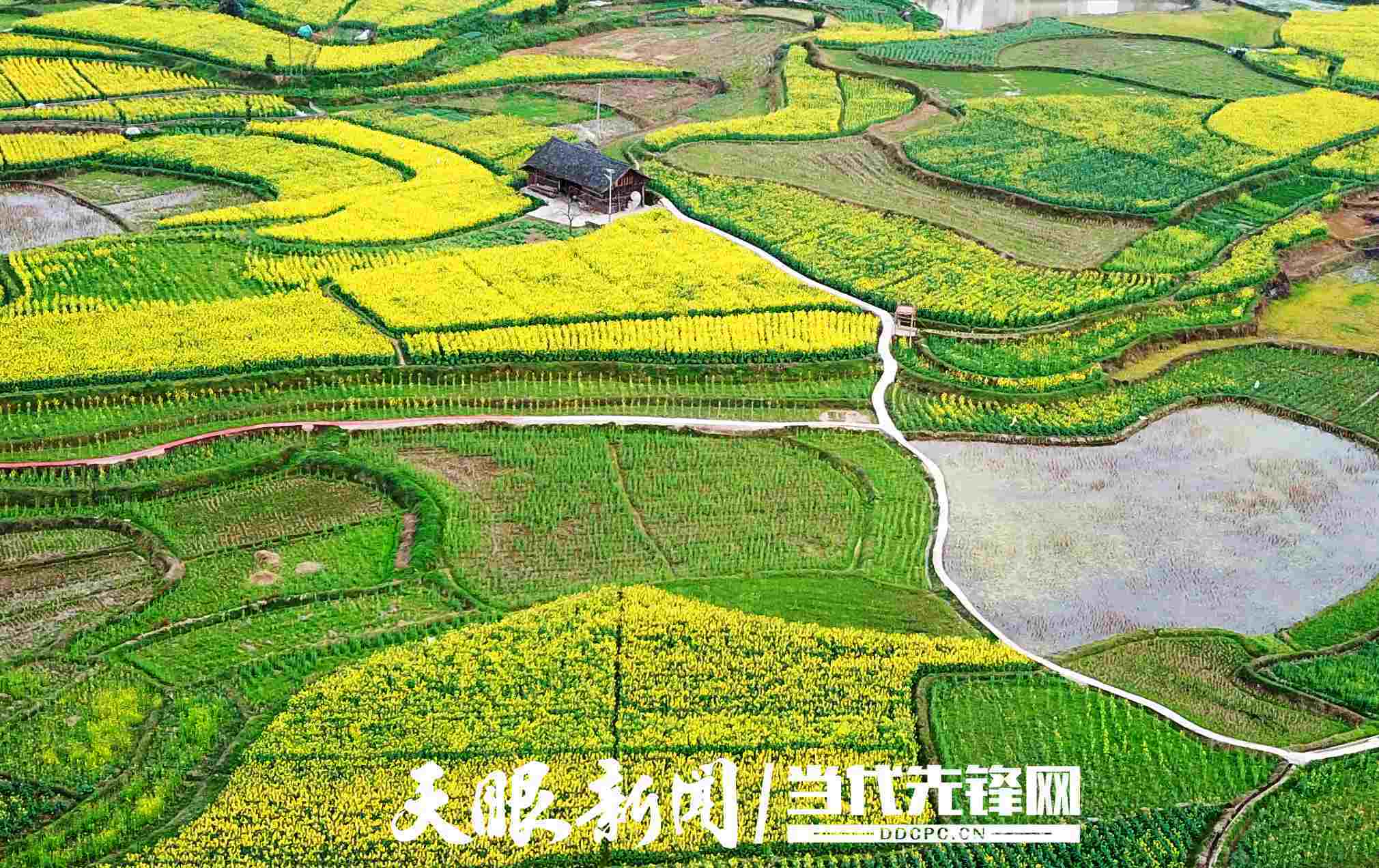 黄平县县城总体规划图片