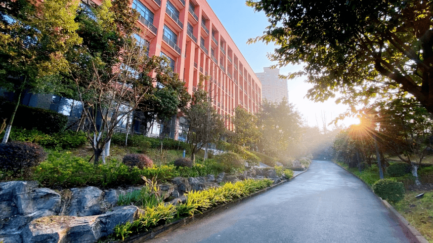 重庆市八中两江金溪中学在春光明媚中,桃华满目,一派活泼浪漫.