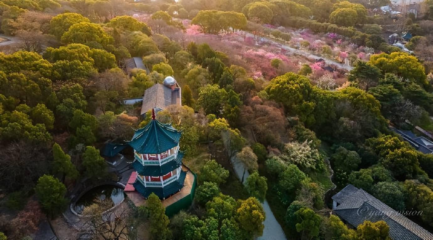 晨光中的无锡梅园,姹紫嫣红,正是春日梅好时光,赏春好去处_无锡_晨光