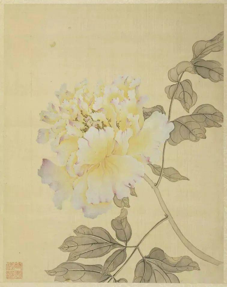 故宫馆藏精品蒋廷锡牡丹十六种图册欣赏