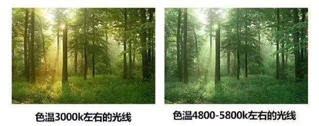 小白智能语音台灯提供191100%亮度,3000-5000k色温自由选择.